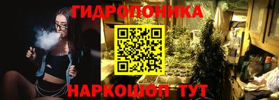 каннабис Новозыбков